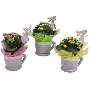 Easter Arr. Indoor Ceramic Cup And Saucer Colored Rim Ø12cm