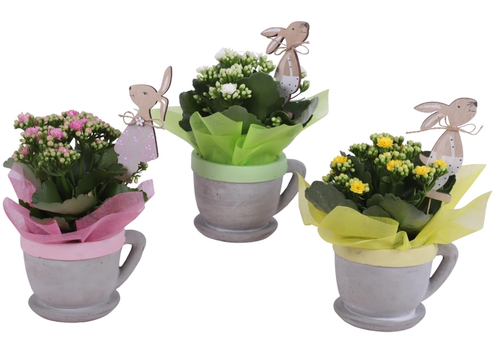 <h4>Easter Arr. Indoor Ceramic Cup And Saucer Colored Rim Ø12cm</h4>