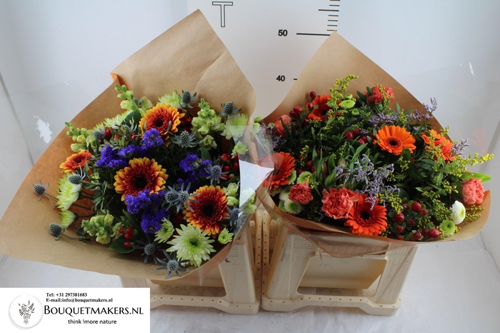 <h4>GEM BOEKET OV</h4>