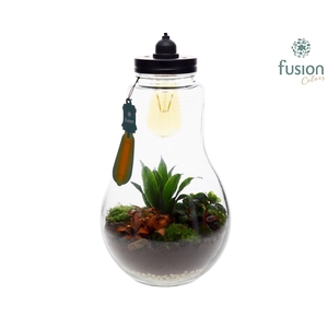 Glas Terrarium XXL met verlichting met Groene Planten