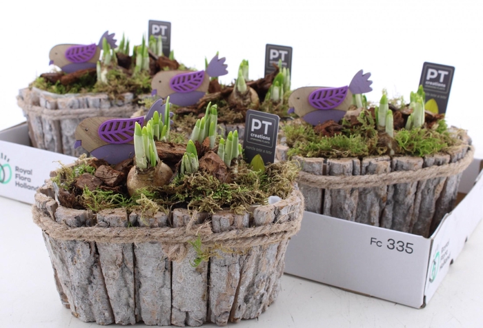 <h4>ARR N TETE A TETE</h4>