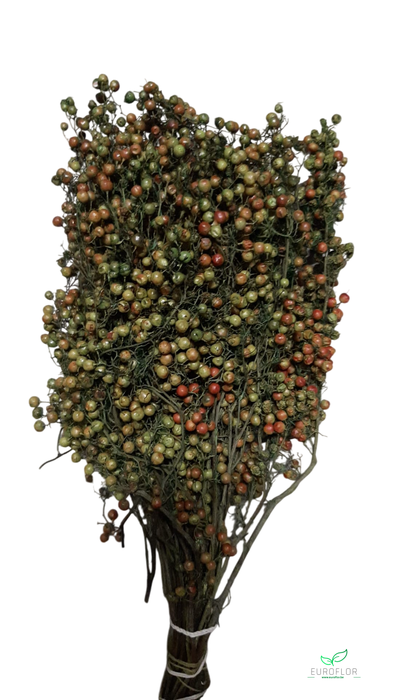PEPPERBERRIES GREEN
