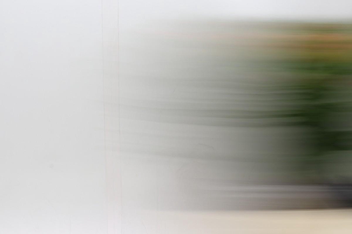 <h4>Paeonia Coral Charm</h4>