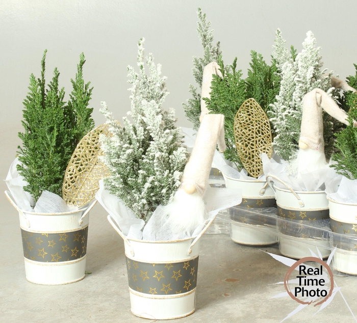 <h4>CHAM L ELLWOODII</h4>