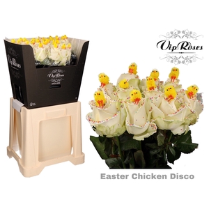 R GR EASTER CHICKEN DISCO L60cm