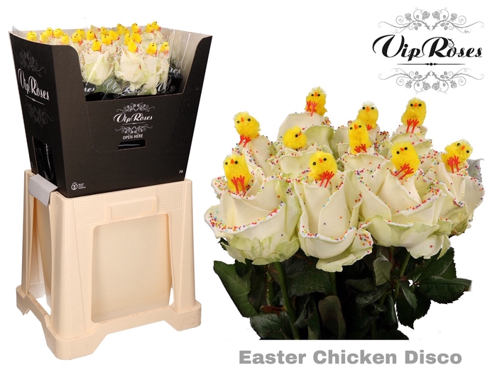<h4>R GR EASTER CHICKEN DISCO L60cm</h4>