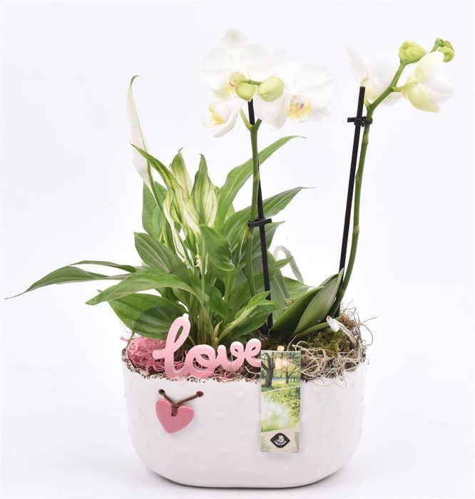 <h4>Keramiek ovaal met hartje 19.5x11CM</h4>