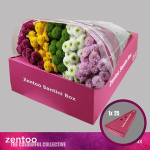 CHR S MIX POMPON