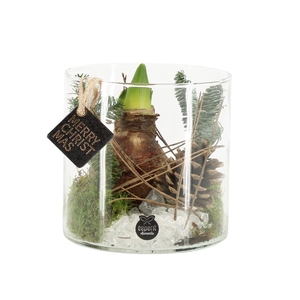 61702: X-mas arrangement