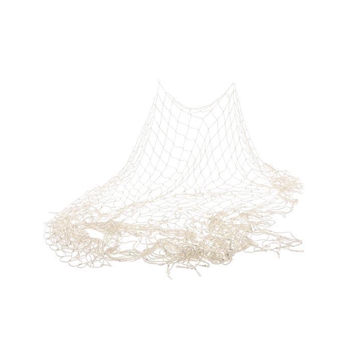 <h4>Fishing net L150W200</h4>