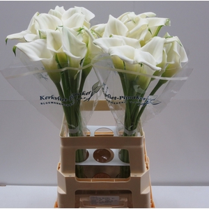 Calla Crystal Blush Kerkvliet