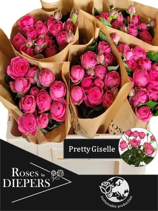 <h4>R TR PRETTY GISELLE!</h4>