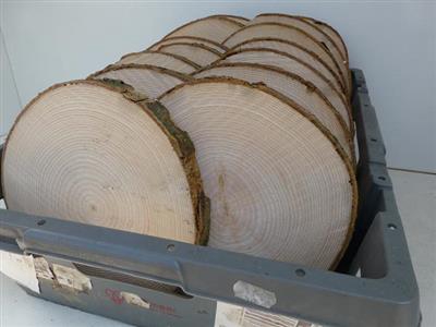 <h4>HOUTSCHIJF GROOT 23</h4>