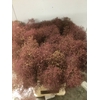 COTINUS C MAG TORCH*