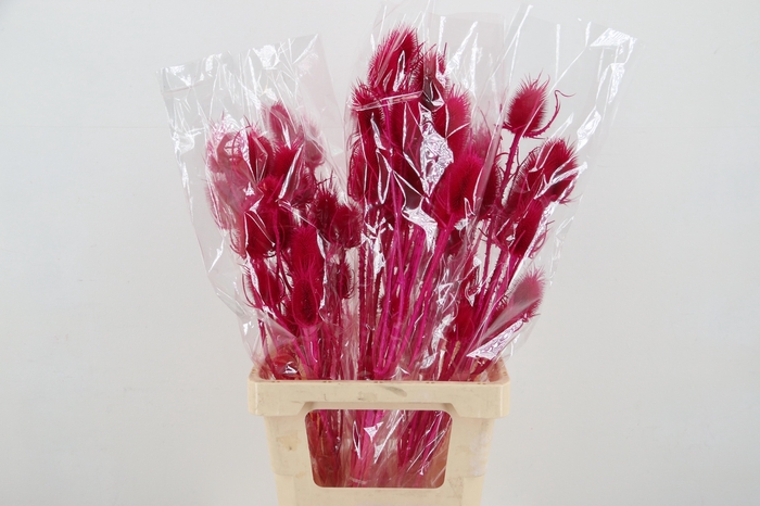 <h4>DROOGBL BEWERKT H%</h4>