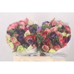 Anemone Levante Mixed In Bunch