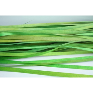 HOUTBAND 1,1M APPELGROEN 300GR