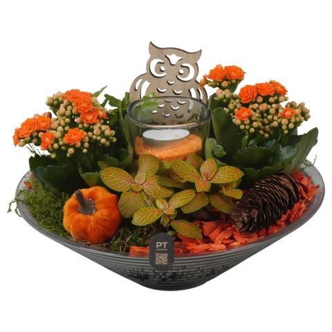 <h4>PTHG8265 Arrangement Autumn Glass in glas schaal</h4>