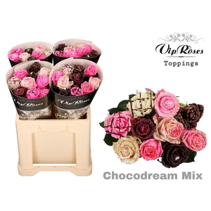 R GR CHOCO DREAM MIX 60cm 588