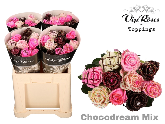 <h4>R GR CHOCO DREAM MIX 60cm 588</h4>