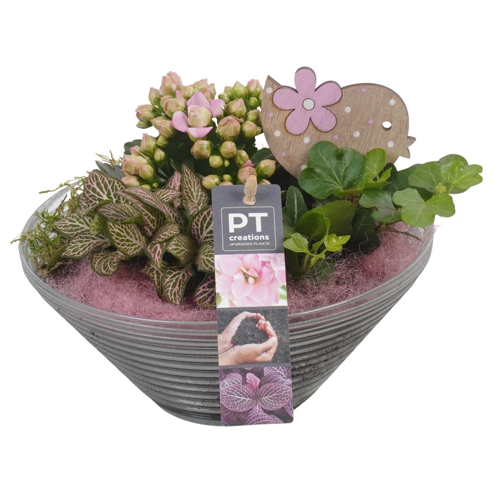 <h4>Arr.   Planten L%</h4>