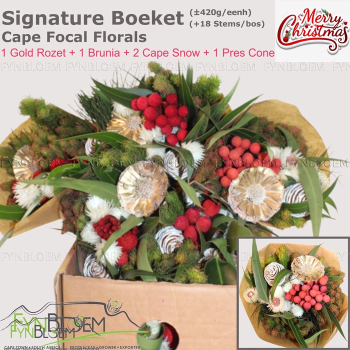 <h4>KAAPS GROE GEM IN BS</h4>