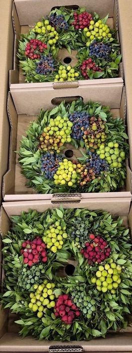 <h4>SIERFRUIT KRANS H%</h4>