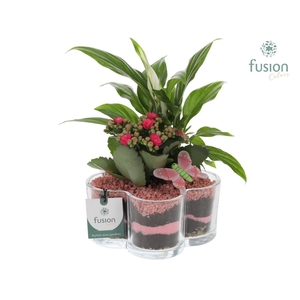 Glazen Bloemschaalmet arrangement