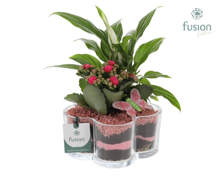 <h4>Glazen Bloemschaalmet arrangement</h4>