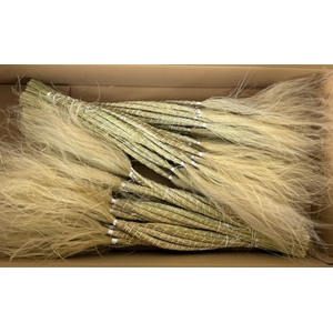 DF Stypha 60cm Bs Naturel