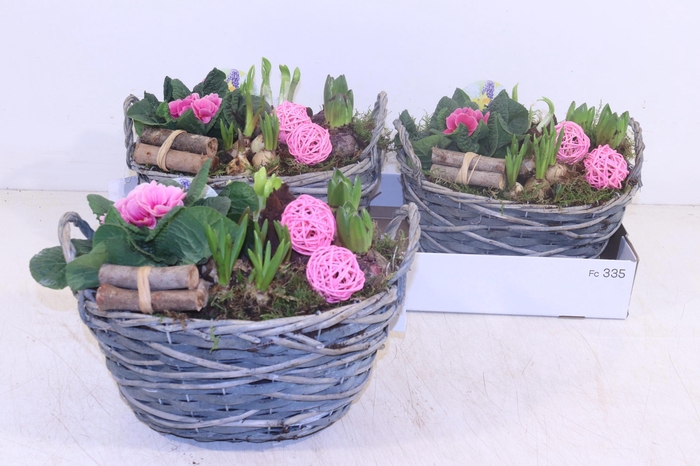 <h4>ARR TUINPLANTEN</h4>