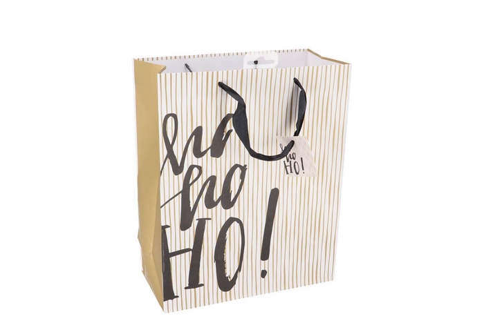 Floristry Giftbag Hohoho White 32cm
