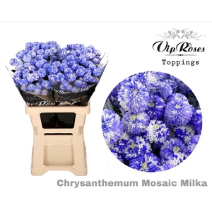 CHR T MOSAIC MILKA