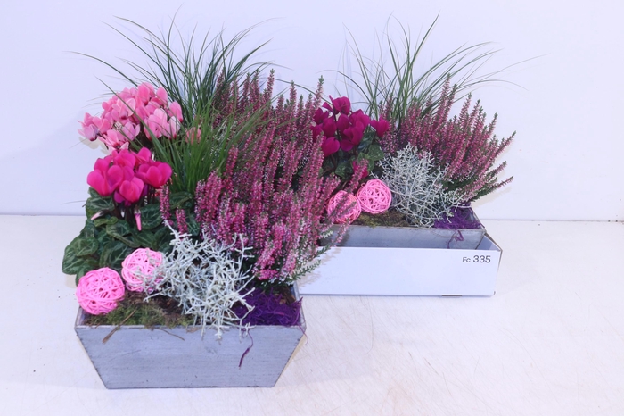<h4>ARR TUINPLANTEN</h4>