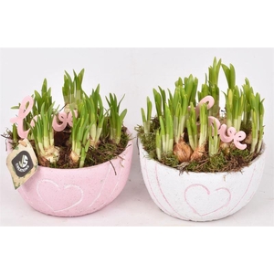 Cement schaal hart decor mix 16cm