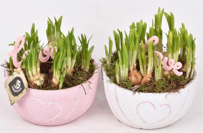 <h4>Cement schaal hart decor mix 16cm</h4>