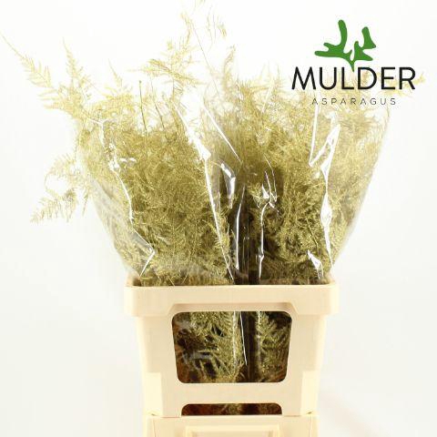 <h4>ASP OV KLB H%</h4>