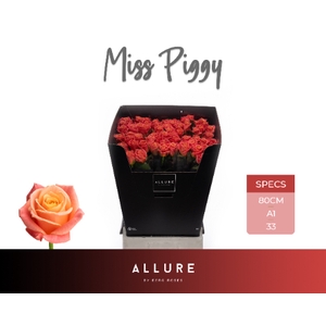 R GR MISS PIGGY+ ALLURE .