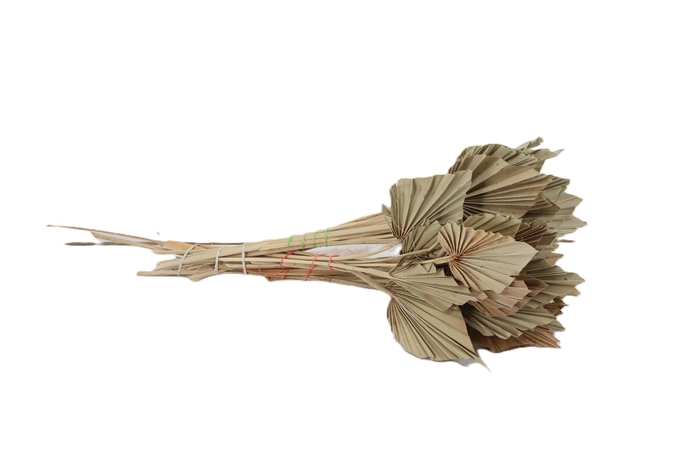 <h4>DROOGBL BEWERKT H%</h4>
