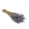Droogbloemen - Lavender Natural Blue