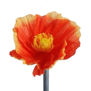 Stem Poppy Flower L30w30h35
