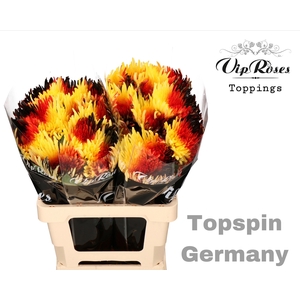 CHR G TOPSPIN FLAG GERMANY