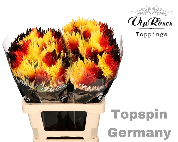 CHR G TOPSPIN FLAG GERMANY