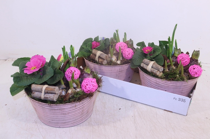 <h4>ARR TUINPLANTEN</h4>