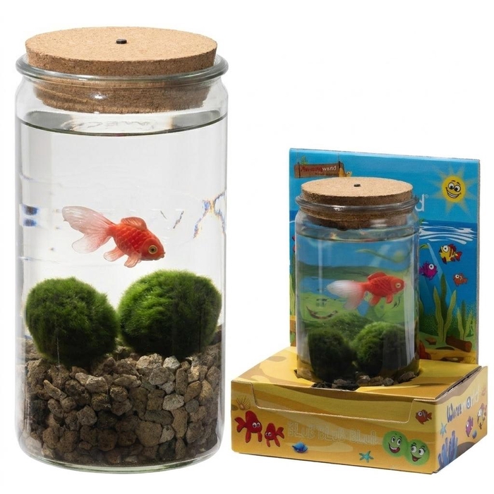 <h4>ARR WATERPLANTEN</h4>