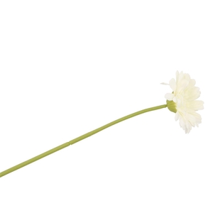 Silk Gerbera White 72cm Nm
