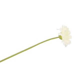 Silk Gerbera White 72cm Nm