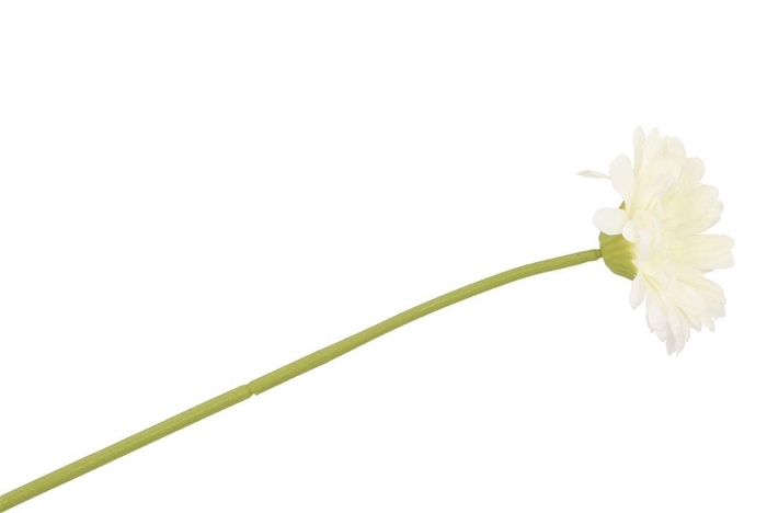 <h4>Silk Gerbera White 72cm Nm</h4>