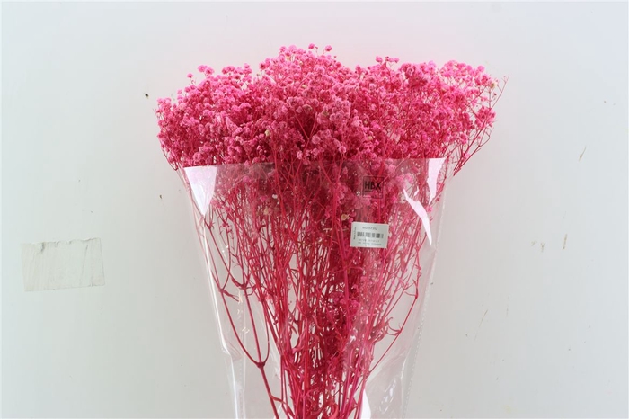 <h4>Pres Gyps Bq Bleached Cerise Slv 240gr</h4>