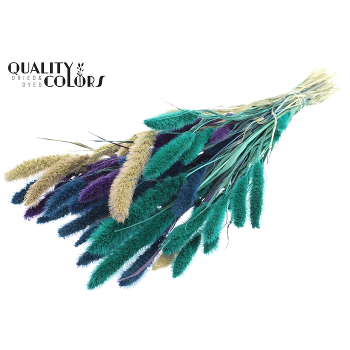 <h4>Setaria per bunch Scandinavian Mix</h4>